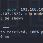 Flooding Russian Sites with Fragmented UDP Packets